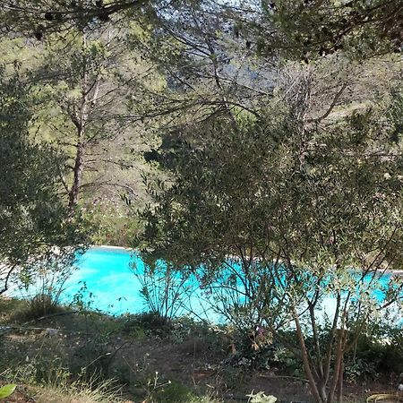 Villa Cigalons En Pleine Pinede Avec Piscine Chauffee De Mai A Septembre Auriol Exterior photo