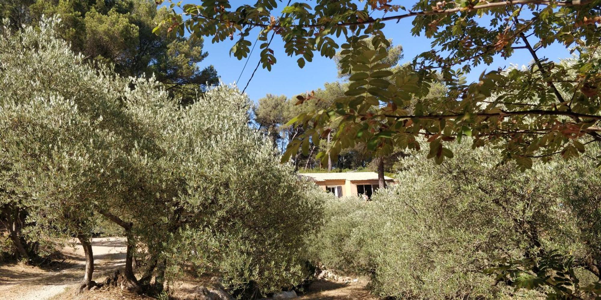 Villa Cigalons En Pleine Pinede Avec Piscine Chauffee De Mai A Septembre Auriol Exterior photo