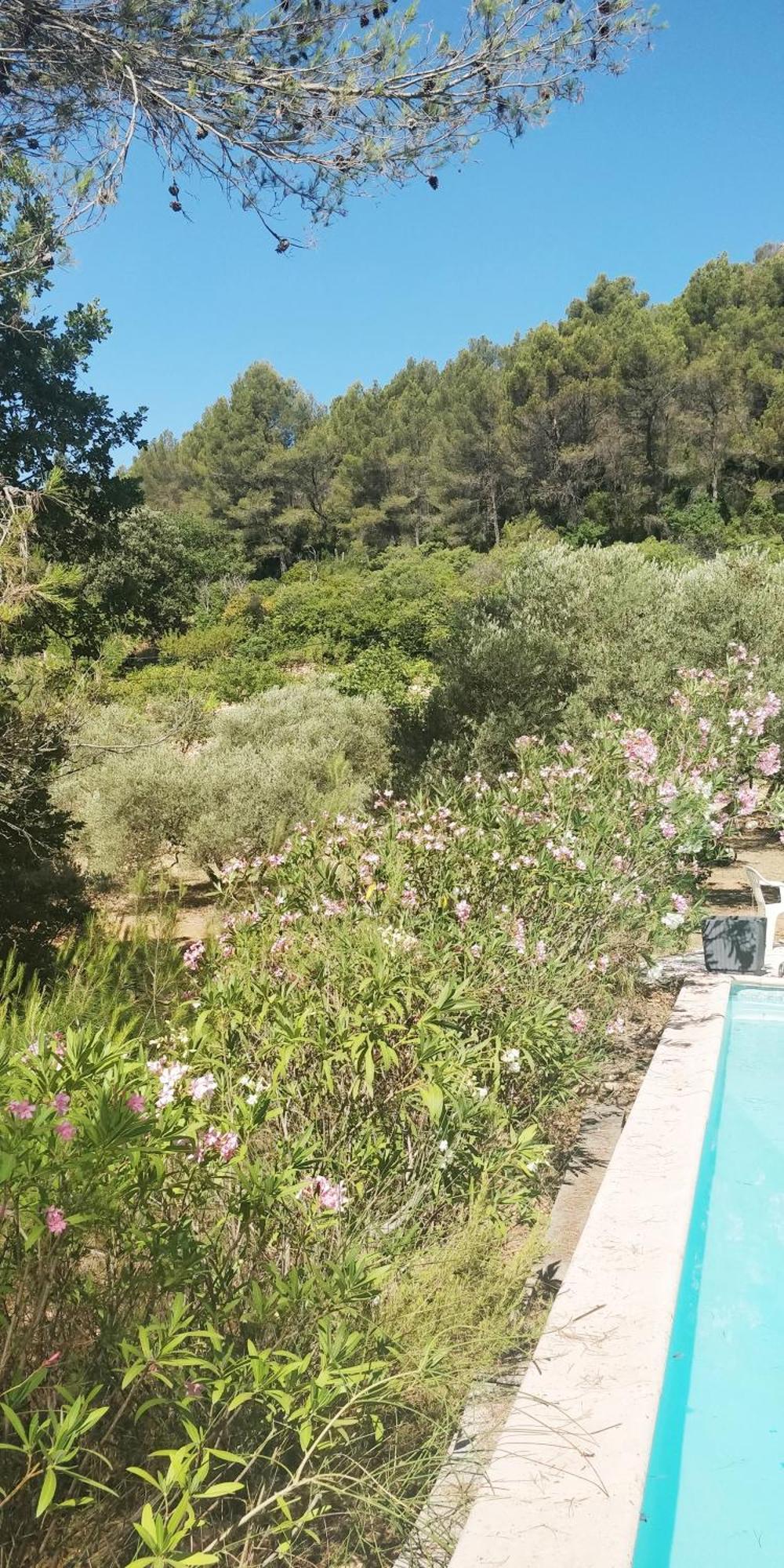 Villa Cigalons En Pleine Pinede Avec Piscine Chauffee De Mai A Septembre Auriol Exterior photo