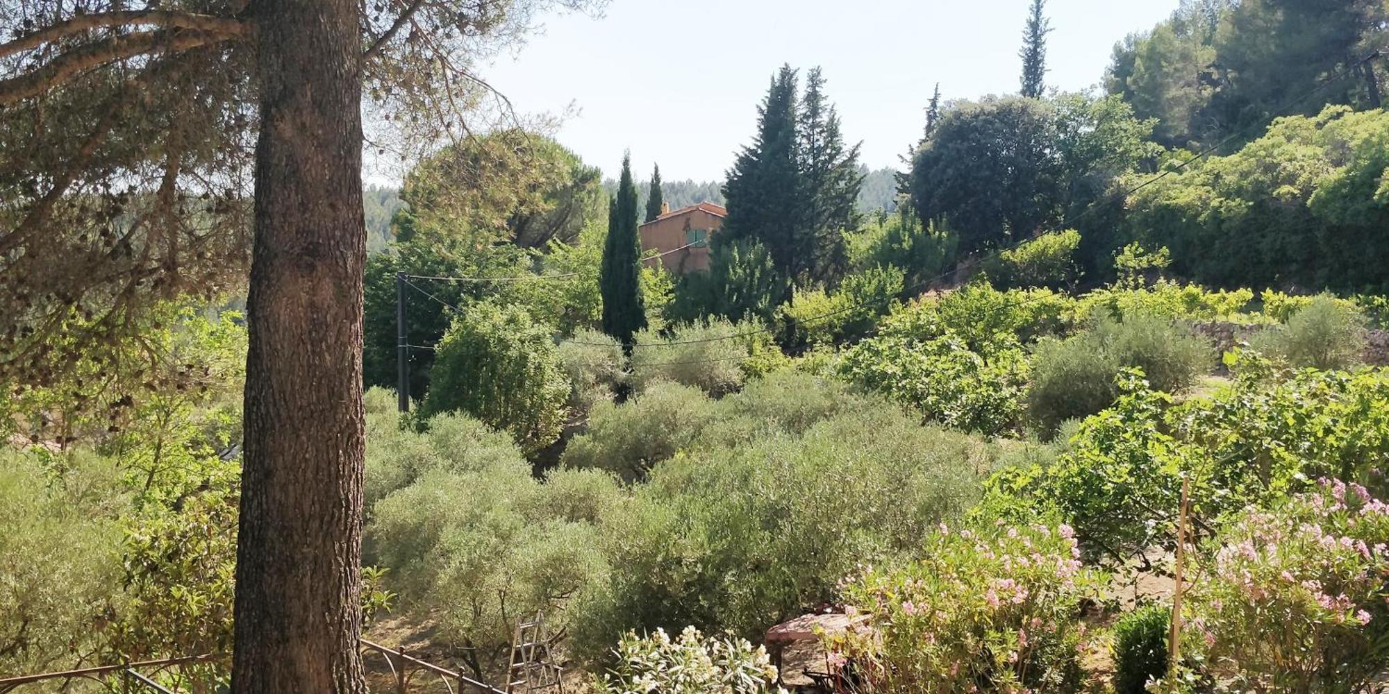 Villa Cigalons En Pleine Pinede Avec Piscine Chauffee De Mai A Septembre Auriol Exterior photo