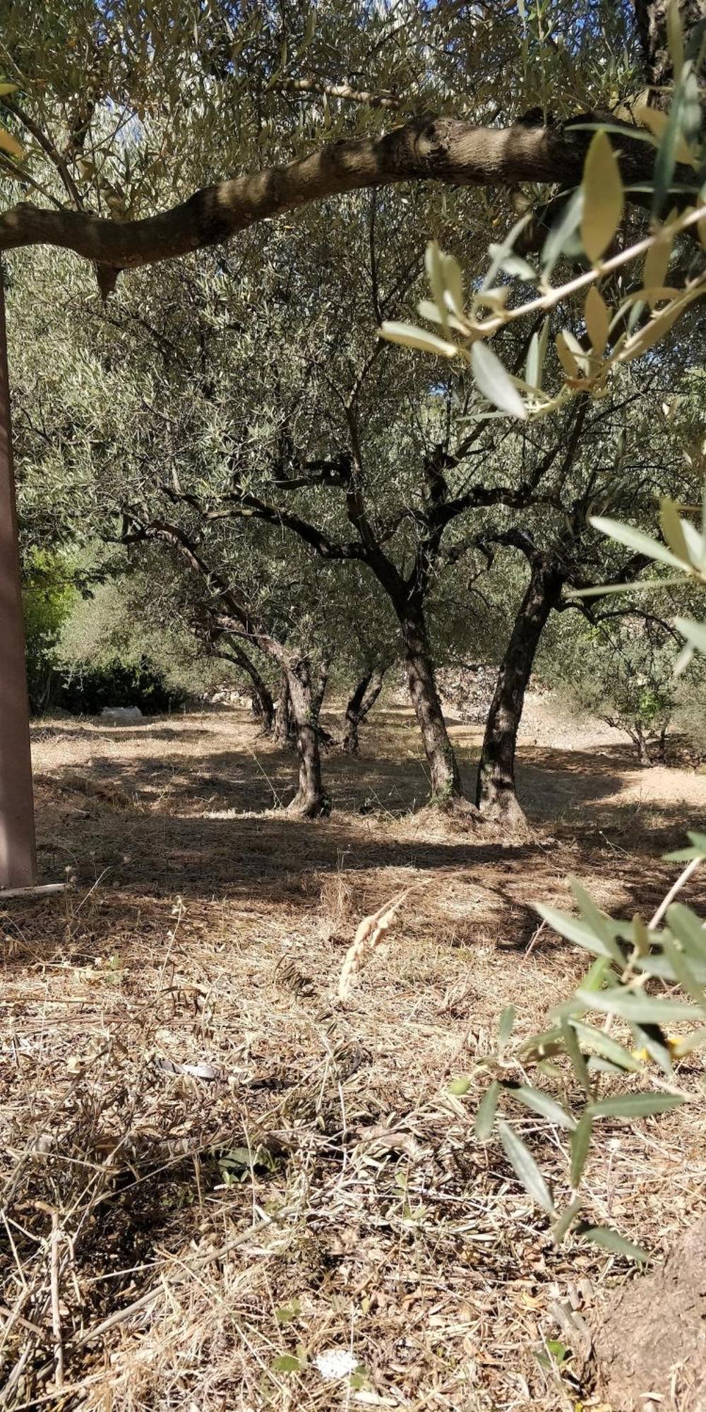Villa Cigalons En Pleine Pinede Avec Piscine Chauffee De Mai A Septembre Auriol Exterior photo